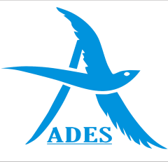 Amravati Devi Educational Society